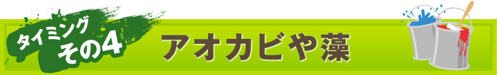 タイミング その４：アオカビや藻